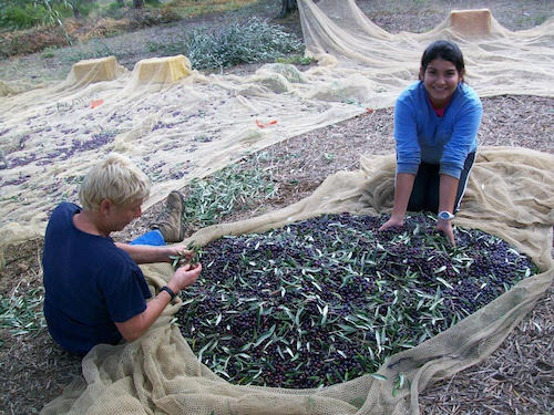 Cecilia-and-olives