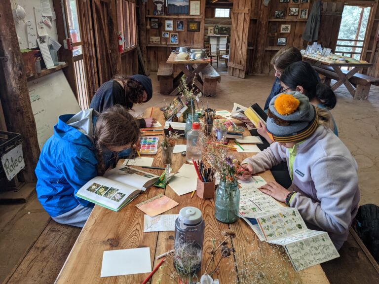 Cottonwood Gulch students arranging and learning about flowers